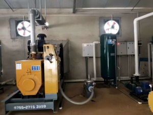 Offre Spéciale : Générateur de biogaz au méthane 50-200 kW pour fermes porcines/volailles/bovines, refroidissement par eau, démarrage électrique DC, monophasé - Product Image 4