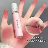 Owen James Pequeño Rosa Forja Brillo de labios Mate Terciopelo No es fácil de desvanecer Baja saturación Lápiz labial Brillo de labios Venta al por mayor Mujeres