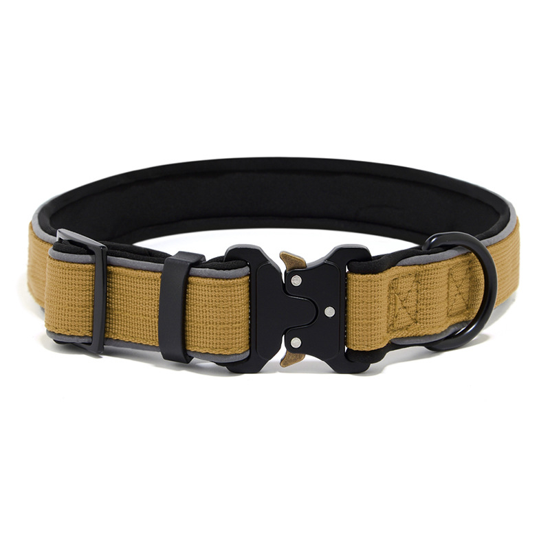 สีเหลืองเอิร์ธโทน