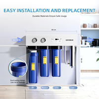 Système compact pour toute la maison Big Blue de 20 pouces avec triple filtration et UV, design peu encombrant