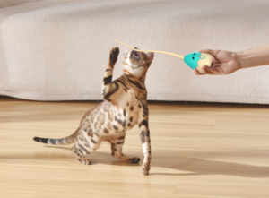 Çevre dostu otomatik silikon kediler Teaser simüle fare kuyruk 2 in 1 kapalı elektronik interaktif oyuncak - Product Image 3