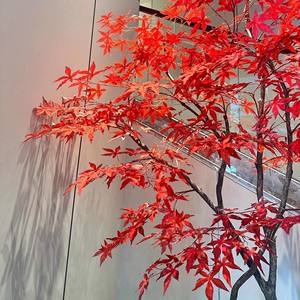 人造枫树，假红枫树，商场，酒店，绿化，室内外景观装饰 - Product Image 4