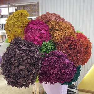 Vendita Diretta dalla Fabbrica: Decorazioni Nuziali con Ortensie Anna Essiccate e Conservate di Alta Qualità - Product Image 2