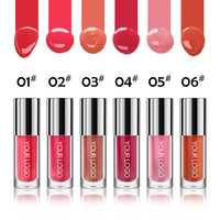 Gloss à lèvres hydratant effet glacé 6 couleurs 6ml, soin des lèvres brillant et lisse avec pinceau en alliage de zinc pour la vente en gros