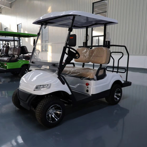 Voiturette de golf électrique <span class=keywords><strong>2</strong></span> places à <span class=keywords><strong>prix</strong></span> de gros, 4 roues motrices, mini-voiture électrique touristique pour hôtels et zones touristiques - Product Image 1