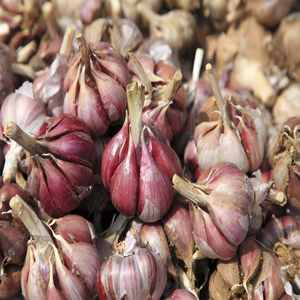 Allicin 1-5% Fornecimento da Fábrica Ciyuan Preço de Atacado Extrato de Alho Allicin Pó de Alho que Remove Odores - Product Image 2