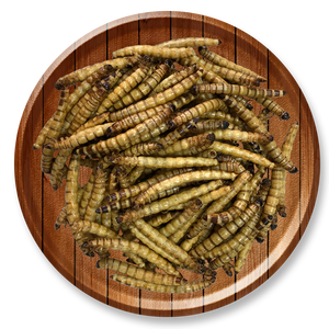 Protein reiche getrocknete Superwurm-Trocken maden für den Großhandel mit Tierfutter - Product Image 1