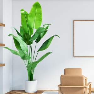 Planta Artificial de <span class=keywords><strong>Palmera</strong></span> Viajera Realista para Interiores y Exteriores, <span class=keywords><strong>Palmera</strong></span> Realista para Decoración de Sala de Estar, Oficina, Balcón y Jardín - Product Image 5