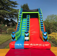 Toboggan gonflable commercial personnalisé pour enfants, château gonflable en PVC pour parc, toboggan animalier à vendre