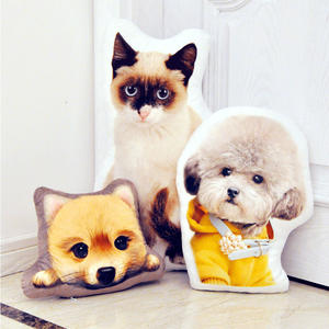 Özelleştirilmiş 3D dolması hayvan <span class=keywords><strong>Pet</strong></span> özel peluş yastık oyuncaklar reklam hediye peluş bebek özel köpek kedi yastıklar oyuncaklar - Product Image 4