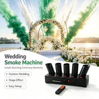 Déclencheur personnalisable pour fontaine froide pyrotechnique, en forme d'éventail, avec fumée colorée, pour mariage, célébration en extérieur, révélation du sexe