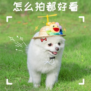 Gorro para perro con diseño de libélula de bambú, gorro para gato, oso de peluche, gorro de punto para perro bulldog francés, gorro de verano para mascotas - Product Image 5