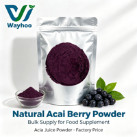 Poudre de baies d'açaï naturelle directement du fabricant, poudre de jus de baies d'açaï, complément alimentaire, extrait de poudre d'açaï