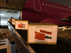 Agente di Spedizione per Polonia, <span class=keywords><strong>Germania</strong></span>, Regno Unito, Spedizioniere Ferroviario, Servizio di Spedizione LCL, Logistica Ex-works FOB DDP - Product Image 3