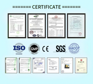 OEM digestione enzimatica oro ad azione rapida digestione ottimale supporto capsule Formula Premium - Product Image 4