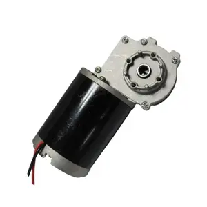 30NM Tork 24V 400 Watt 300 Watt 200 Watt DC motor