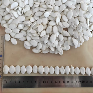 Graines de citrouille de qualité 1 séchées crues blanches pures de grande taille - Product Image 2