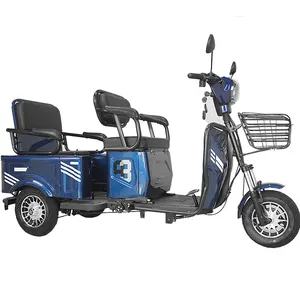 48V 600W Front and rear shock absorbers three wheels Triciclo electric cargo electric Tricycle with basket