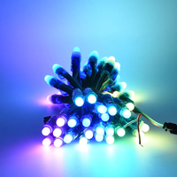 Noël extérieur étanche arc-en-ciel couleur Dc 5v 12v 12mm Ws2811 Ws2812 noir rvb adressable Led Pixel Module Led guirlande lumineuse