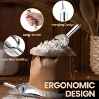 Pelle à glace en acier inoxydable 4 tailles, pelle multi-usages pour aliments secs, noix, céréales, bonbons, farine, bar, buffet, cuisine, garde-manger