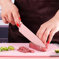 Ensemble de couteaux de cuisine en acier inoxydable avec planche à découper, manche en plastique coloré, couteau de chef, ensemble cadeau