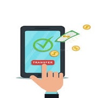 ROYALCRAFT Application mobile de transfert d'argent numérique instantané Modèle M20 MAC//Linux/Android Paiements sécurisés en ligne sur Internet 1 an