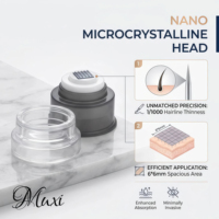 Stylo Derma Portable Personnalisé avec Logo d'Usine, Flacon Vide pour Sérum de Soin, Microneedles en Silicone Non Invasives, Derma Stamp
