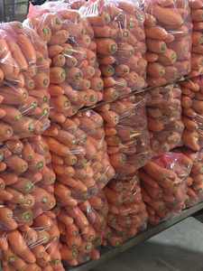 Carote Fresche Biologiche all'Ingrosso da Fornitore Cinese, Prezzo Competitivo per Agricoltura e Semi di Carota - Product Image 6