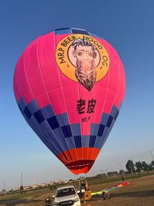 <span class=keywords><strong>Ballon</strong></span> à air chaud en Nomex en forme d'extraterrestre Zhongsheng ZS-7 21m X 17m Gonflable Mixte Couleurs Utilisation en extérieur - Product Image 2