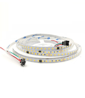 Bande LED intelligente flexible 2835 SMD, 24V DC, avec puce WS2811 IC, adressable, effet course de chevaux, blanche