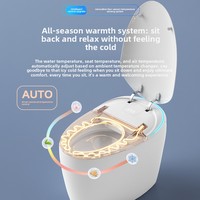 WC intelligent automatique monobloc en porcelaine à siphon, à poser au sol, avec plusieurs spécifications, ensemble de toilettes sanitaires pour salle de bain