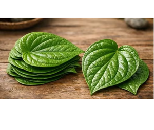 Hoja de Betel Verde Natural Fresca, Entera, de Primera Calidad, para Uso Culinario, Herbal, Ayurvédico, Ceremonias Religiosas, Grado Alimenticio - Product Image 3