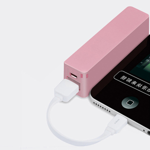 MIQ personnalisé OEM porte-clés powerbank 2600 mAh 18650 <span class=keywords><strong>Power</strong></span> <span class=keywords><strong>Bank</strong></span> chargeur portable 2600 mah <span class=keywords><strong>Veger</strong></span> <span class=keywords><strong>Power</strong></span> <span class=keywords><strong>Bank</strong></span> - Product Image 4