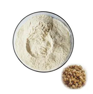 Extrait de soja fermenté Nattiase Poudre d'extrait de natto biologique Poudre d'enzymes Nattokinase