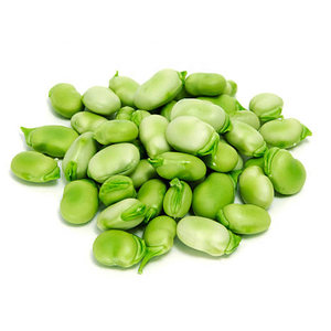 OEM ODM Kacang <span class=keywords><strong>Fava</strong></span> Hijau Kelas Makanan, Kacang <span class=keywords><strong>Fava</strong></span> Kering Bulat Kecil hingga Sedang, Ekstrak Biji, Grosir, Partai Besar - Product Image 2