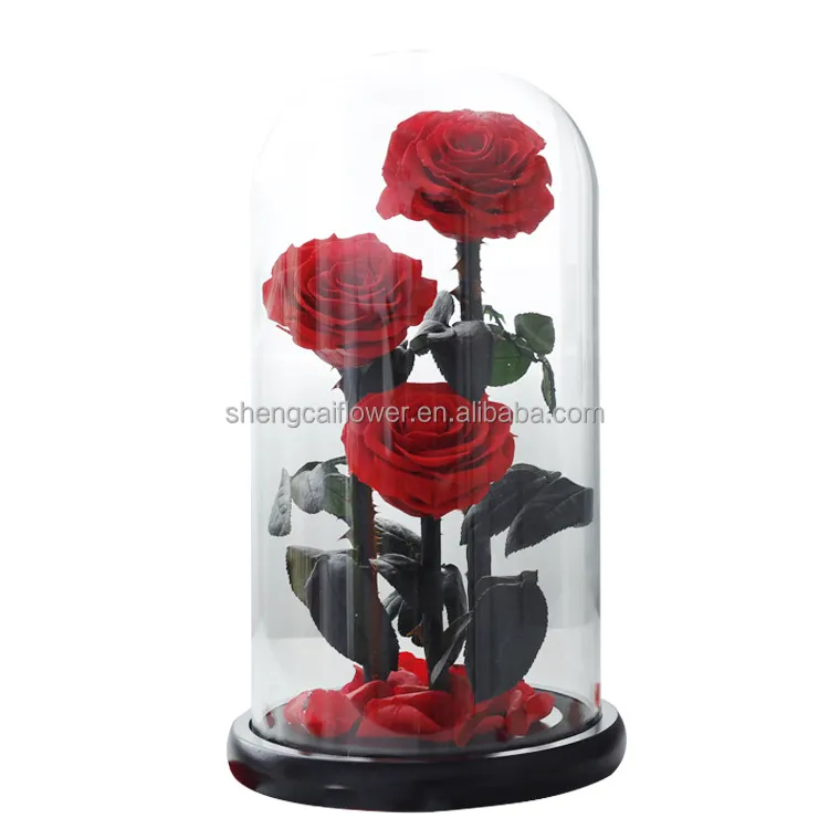 Venta caliente de fábrica Flor preservada Rosa Gran Príncipe 3 Rosas Rojas Flores para siempre Rosas eternas en cúpula de cristal para el Día de San Valentín Gif