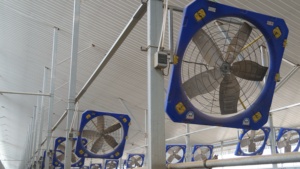 معدات تربية الحيوانات والتهوية الهوائية لمزارع الخنازير والخيل والمواشي - Product Image 5