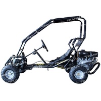 Kart à essence 420CC 15HP monoplace pour location en sites touristiques, type buggy tout-terrain avec cage de sécurité et arrêt d'urgence