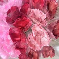 Großhandel für Hochzeitswanddekoration: Natürliche, langlebige, konservierte Sola-Lilie für Heimdekoration, Muttertag und Weihnachten