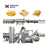 Sensitar industriële automatische productielijn voor diepvriesfrieten/aardappelsticks met hoge productiviteit, 380V/220V spanning