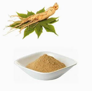 GANOHERB organik <span class=keywords><strong>Ginseng</strong></span> özü tozu, sağlık ürünleri uygulamaları için bitkisel mantar tozu - Product Image 4