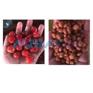 Machine <span class=keywords><strong>de</strong></span> dénoyautage <span class=keywords><strong>de</strong></span> fruits en pierre à taux <span class=keywords><strong>de</strong></span> piqûres élevé Machines <span class=keywords><strong>de</strong></span> dénoyautage <span class=keywords><strong>de</strong></span> cerises Machine à enlever les noyaux <span class=keywords><strong>de</strong></span> cerises - Product Image 2