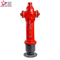 Hydrant d'incendie surélevé en fonte ductile Tianxing SS100/65-1.6B DN100, équipement de lutte contre l'incendie antigel, vente directe usine Chine