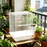 Cage d'élevage pour oiseaux de petite et moyenne taille, vente en gros du fabricant, cages à canaris pour l'élevage d'oiseaux