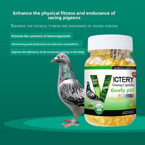 Píldoras Gaofei para <span class=keywords><strong>Palomas</strong></span> de Competición, Medicina Natural para el Cuidado de la Salud, Mejora la Velocidad de Competición y el Acondicionamiento Físico - Product Image 2