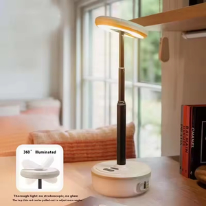 Camping Outdoor LED <b>String</b> <b>Lights</b> CE Certified IP44 Waterproof Portable Rechargeable Manual Control Dimming 50000 Hours Lifespan - Product Image 3