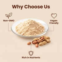Farine d'arachide pure naturelle riche en arôme torréfié, dégraissée, moulue finement, sans gluten, qualité alimentaire, vente en gros en vrac, marque privée OEM