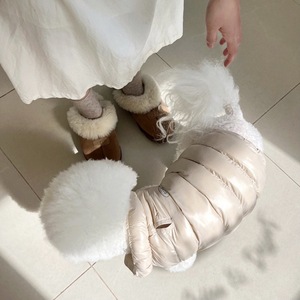 Giacca Invernale Calda Personalizzata per Animali Domestici, Abbigliamento alla Moda per Cani di Piccola Taglia XS - Product Image 5