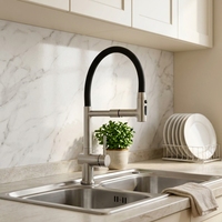 Robinet de cuisine monocommande en acier inoxydable antique avec cartouche céramique, à monter sur plan, avec douchette extractible