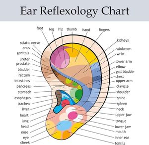 Parches <span class=keywords><strong>de</strong></span> Semillas para Acupuntura Auricular Transparentes Más Vendidos, Acupuntura <span class=keywords><strong>de</strong></span> Presión Auricular para Apoyo a la Salud - Product Image 6